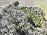 0 Jenkins Farm Road - Photo 3
