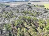 0 Jenkins Farm Road - Photo 43