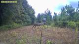 0 Jenkins Farm Road - Photo 65