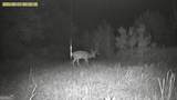 0 Jenkins Farm Road - Photo 69