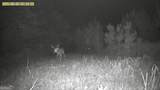 0 Jenkins Farm Road - Photo 70