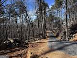 1776 Mulberry Circle - Photo 12
