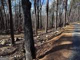 1776 Mulberry Circle - Photo 14