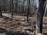 1776 Mulberry Circle - Photo 15