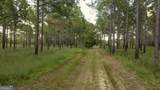 31 Ga Hwy 41 - Photo 10
