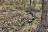 10967 Old Hwy 76 - Photo 26