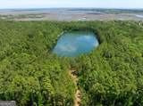 0 21 Acres Dover Bluff Road - Photo 4