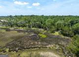 0 21 Acres Dover Bluff Road - Photo 8
