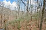 80 Mountain Mint Drive - Photo 4