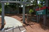 80 Mountain Mint Drive - Photo 63