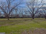 0 Old Hwy 19 South - Photo 4