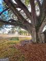 589 Jacksonville Scotland Road - Photo 78