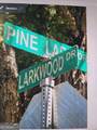 1480 Pine Lark Drive - Photo 3