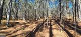 LOT 41 Deyton Drive - Photo 4