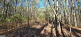 LOT 41 Deyton Drive - Photo 7
