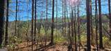 LOT 41 Deyton Drive - Photo 8