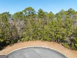 101 Bluebill Trail - Photo 3