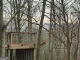 636 Bear Paw Trail - Photo 3