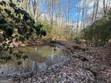 636 Bear Paw Trail - Photo 61
