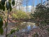 636 Bear Paw Trail - Photo 69