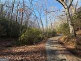 636 Bear Paw Trail - Photo 70