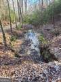 636 Bear Paw Trail - Photo 71