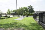 501 5th Street - Photo 2