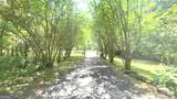 114 Addington Lane - Photo 95