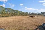 1515 Pleasant Ridge Road - Photo 64
