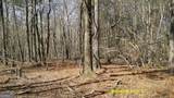 0 Elko Road - Photo 10