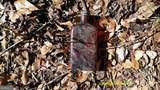 0 Elko Road - Photo 12
