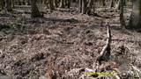 0 Elko Road - Photo 14
