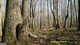 0 Elko Road - Photo 18