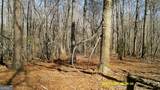 0 Elko Road - Photo 19