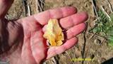 0 Elko Road - Photo 24