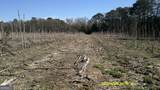 0 Elko Road - Photo 4