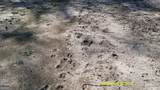 0 Elko Road - Photo 6