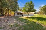 24 Sangster Road - Photo 32