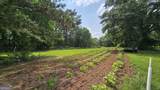 2037 Jeff Davis Road - Photo 48