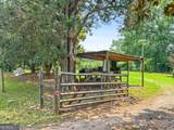 2037 Jeff Davis Road - Photo 59