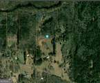 762 High Falls Park Road - Photo 52