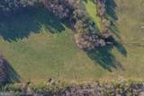 19.6 ACRES Grant Road - Photo 4