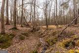 0 Winding Ridge Drive - Photo 9