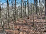 LTS 159,160 Hickory Trace - Photo 3