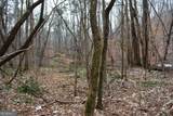 0 Willow Springs Road - Photo 3