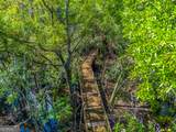 128 Satilla Bluffs Drive - Photo 50
