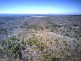 676 Flowery Branch Road - Photo 86