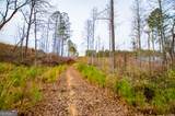 1365 County Road 290 - Photo 30