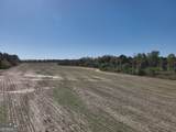 0 Old Pelham Road - Photo 10
