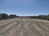 0 Old Pelham Road - Photo 3